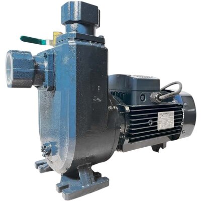 Насос самовсасывающий BXZ 15-30-1,5kW, 2900, 380V, imp:AISI 304 (типа Андижанец АНС)