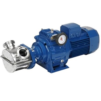 Pompe à impulseur pour de produits alimentaires visqueux LIVERANI VA MINOR 40 NR TF 1,5kW, 175-900tr/min, 380V avec variateur