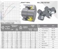 Pompe à lobes JKLB 400L 4 pouces, 21.2 m3/h, AISI 316 pour l'industrie alimentaire