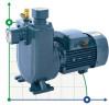 Selbstansaugende Pumpe BXZ 18-35-2,2kW, 2900, 380V, imp:AISI 304