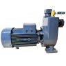 Selbstansaugende Pumpe BXZ 18-35-2,2kW, 2900, 380V, imp:AISI 304
