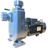 Selbstansaugende Pumpe BXZ 18-35-2,2kW, 2900, 380V, imp:AISI 304
