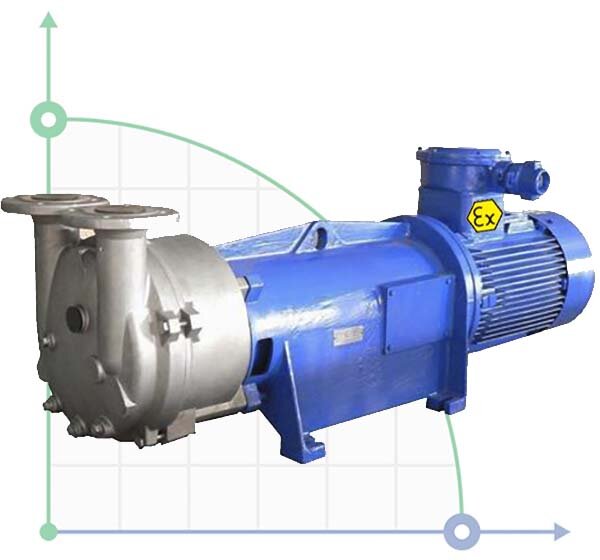 Vacuum pump 2BV6131 Ex (AISI 316)