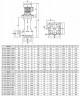 QHD-50SK, CFRETFE-2,2 kW, 530 l/min, 21,9m, Kingdom motor  насос для электролитов