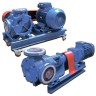 Internal gear pump for paint, glue EMSE EDP-I 2 1/2 inch, 13.1-24.6 m3/h, without motor