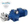 Pompe à impulseur pour de liquides visqueux LIVERANI VA MAXI 80 +BY-PASS NR TF 4kW, 150-600tr/min, 380V avec variateur