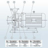 BGWH 80-200A (47/44), 11kW, 2880 - насос нержавеющий горизонтальный с тандемным торцевым уплотнением