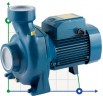 Kreiselpumpe Pedrollo HF 70B