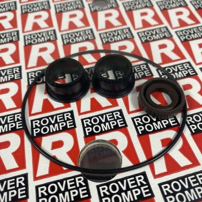 KIT ЗИП комплект резиновых уплотнений к ROVER POMPE 2013 NOVAX 20B