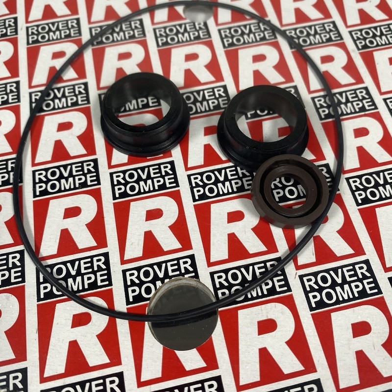 Комплект уплотнений к насосу ROVER POMPE 2015 NOVAX 25B