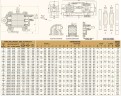 JKRN 400 4", 50 m3/h, CS pompe à engrenages pour liquides visqueux