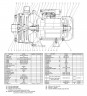 Pumpe Ebara 2CDX 200/50, 380V