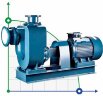 Selbstansaugende Edelstahlpumpe BZWH80-65-25/2, 7,5 kW, 2900, alle AISI 304, Ex