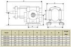 Bomba de engranajes para caucho fundido EMSE EDP 1001, 3/4 pulgadas 1 m3/h, sin motor