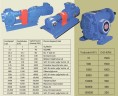 Bomba de engranajes para caucho fundido EMSE EDP 1001, 3/4 pulgadas 1 m3/h, sin motor