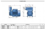 Насос вихровий Pedrollo PKS 65