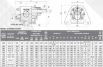 Pompe à engrenages JKSS 050 1/2 pouce, 1,5 m3/h, AISI 316 pour sauce végétale