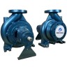 Einstufige freitragende Pumpe EMSE ENP 80-200, 37kW, 3000 U/min